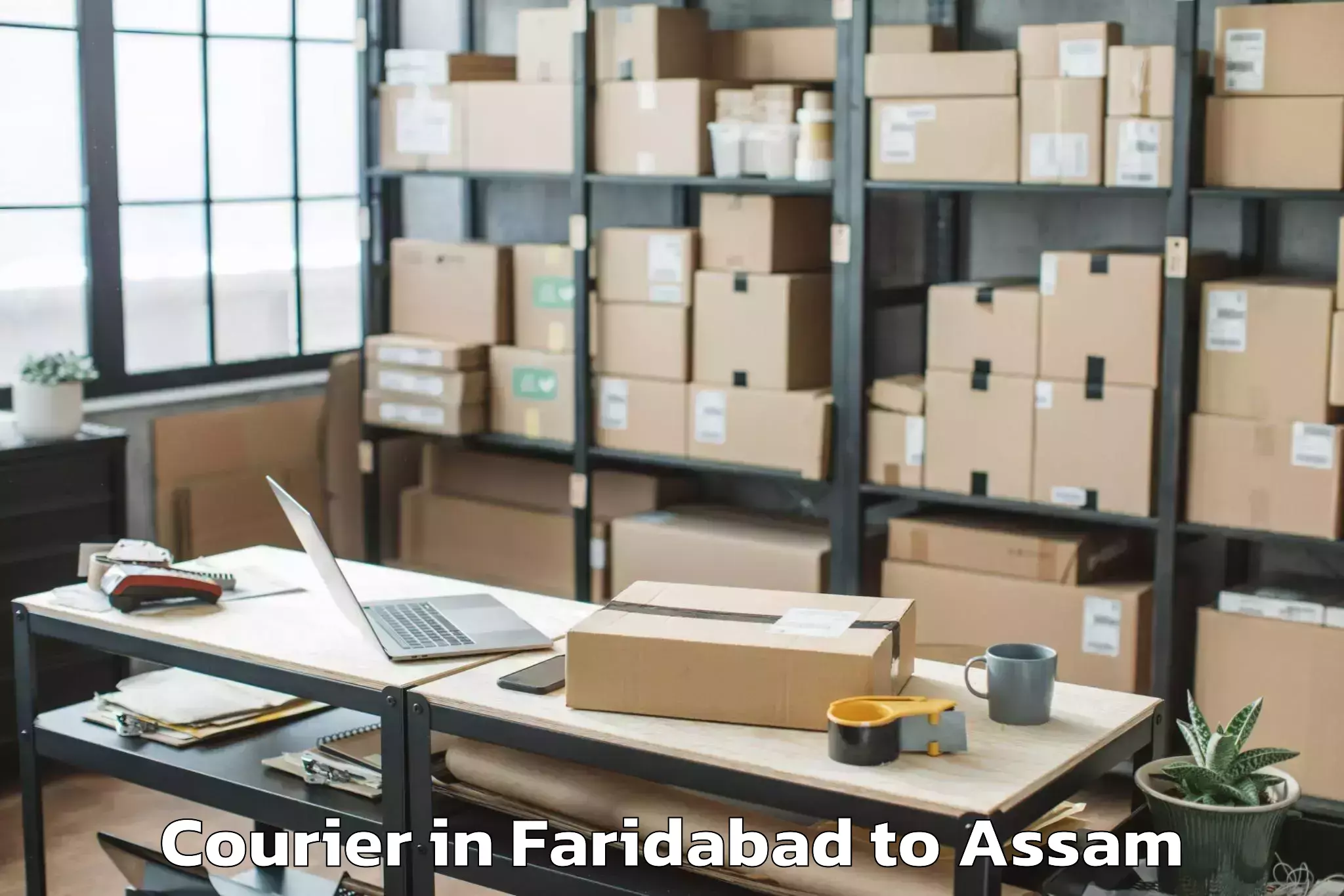 Book Faridabad to Tingkhong Courier Online